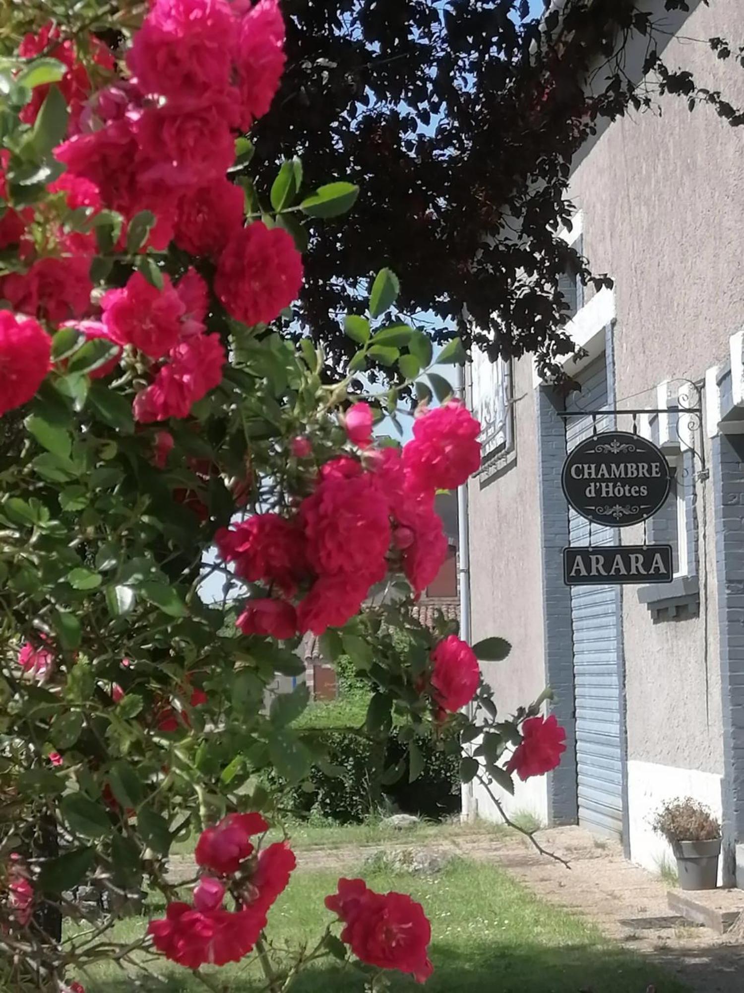 Arara Bed and Breakfast Montfaucon-d'Argonne Εξωτερικό φωτογραφία